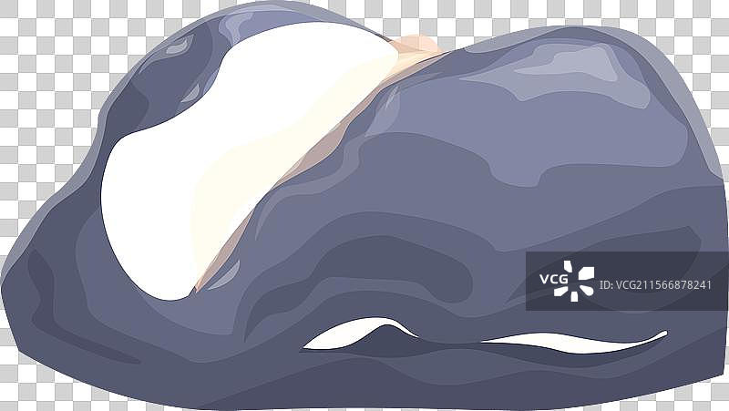 鲸鱼游上水面，露出白色腹部。图片素材