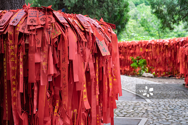 中国传统文化拍摄主题，古树上捆绑着许多红色的祈福带，户外白昼无人图像摄影图片素材