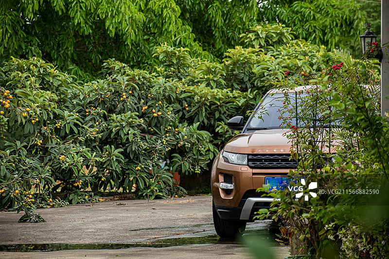 院子里的汽车、小汽车、清洗小车、洗车、花园里的汽车图片素材