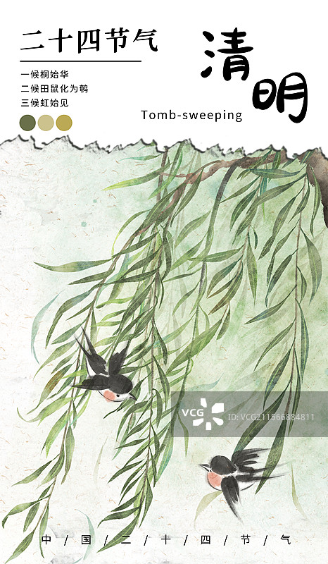 春天清明柳枝海报图片素材