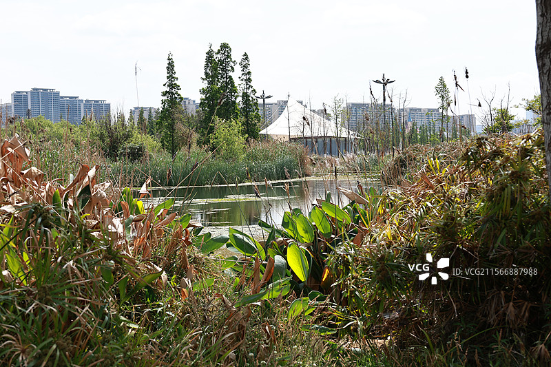 环滇流域生态绿道之河尾村、斗南湿地图片素材