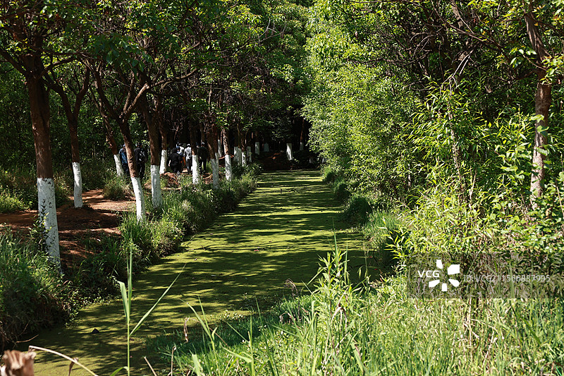 环滇流域生态绿道之河尾村、斗南湿地图片素材