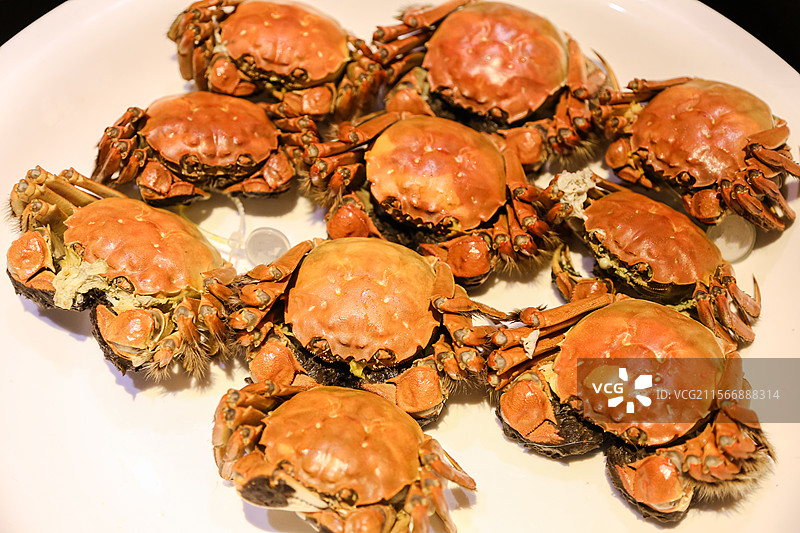 清蒸大闸蟹图片素材