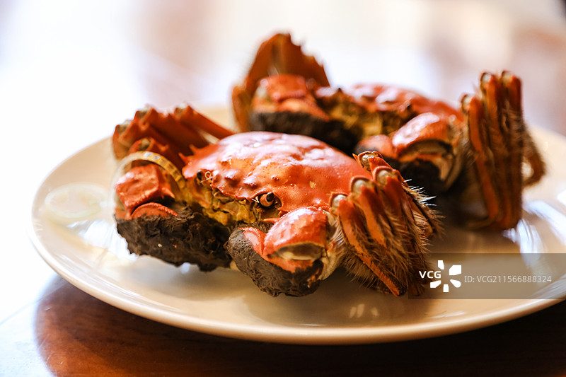 清蒸大闸蟹图片素材