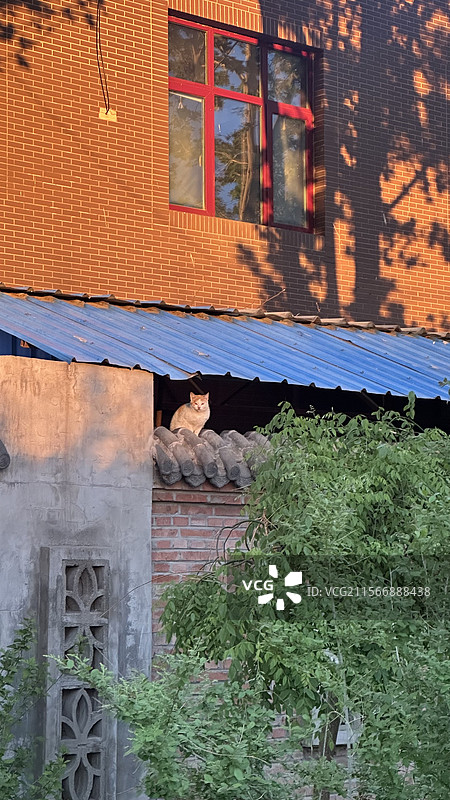 夕阳光照图片素材