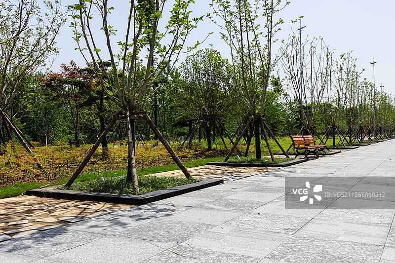 常德城南鼎城区沅江光风光带体育公园环境组图图片素材