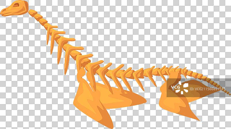 黄色的蛇颈龙骨架在水下游泳图片素材