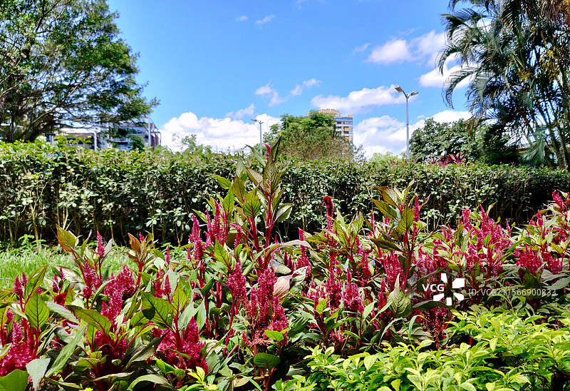 台北士林官邸图片素材