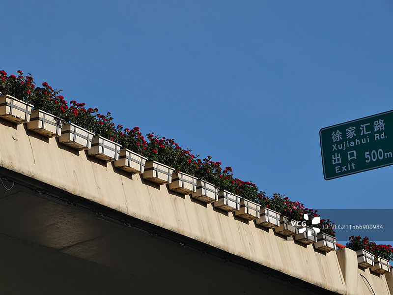 上海高架桥绿化盆栽图片素材