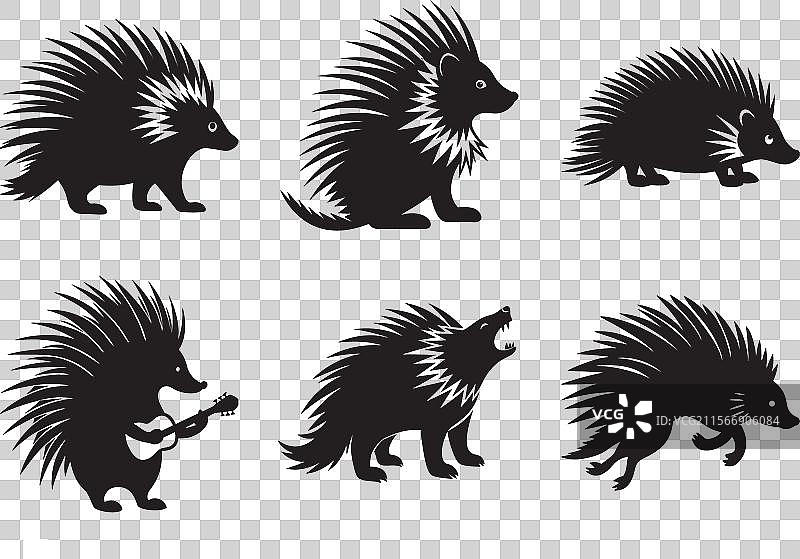 惊艳的豪猪剪影套装图片素材