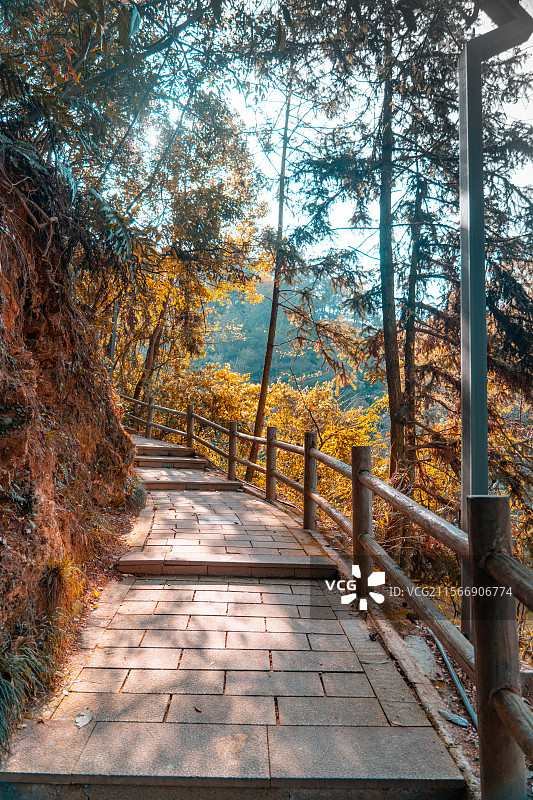 戴震公园+屯溪老街图片素材