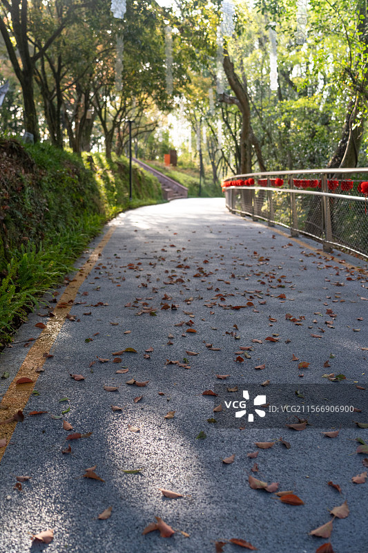 戴震公园+屯溪老街图片素材