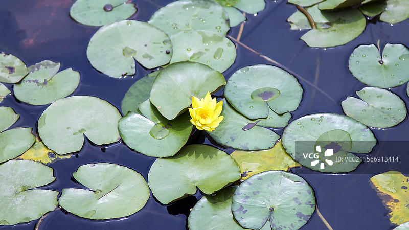 重庆洋人街图片素材