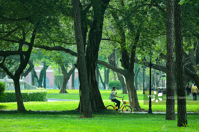 中山大学南校区一景图片素材