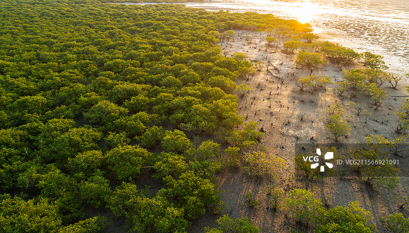 广西北海湿地红树林风光夕阳西下图片素材