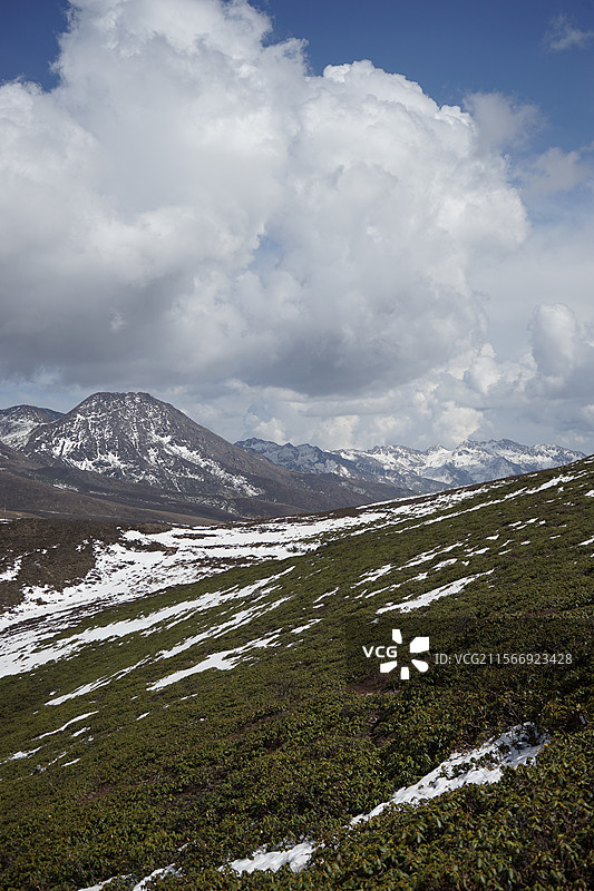 郎卡之心图片素材
