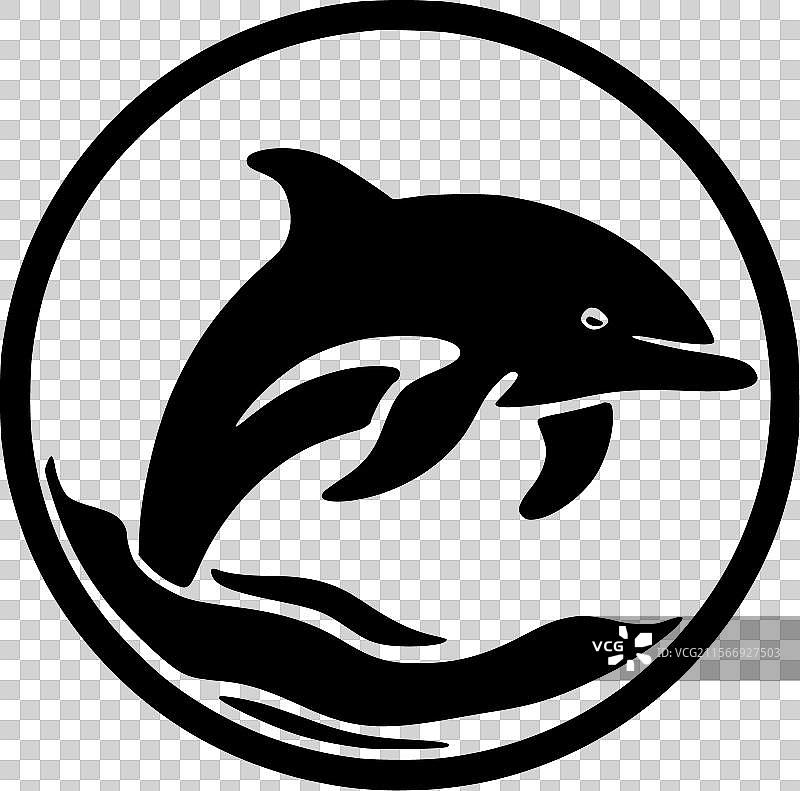 黑白海豚图片素材