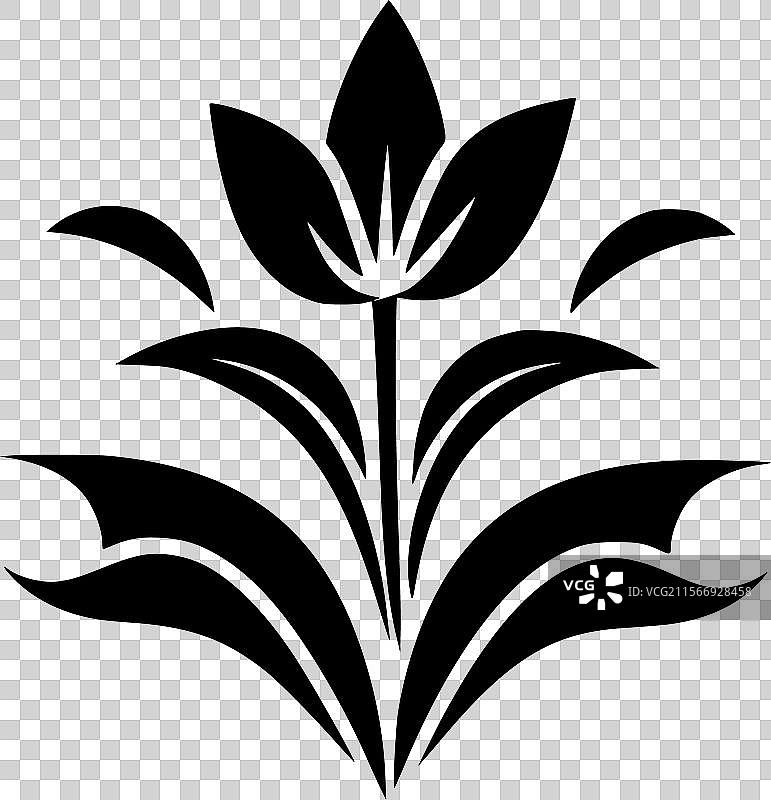 花朵 - 黑白孤立图标图片素材