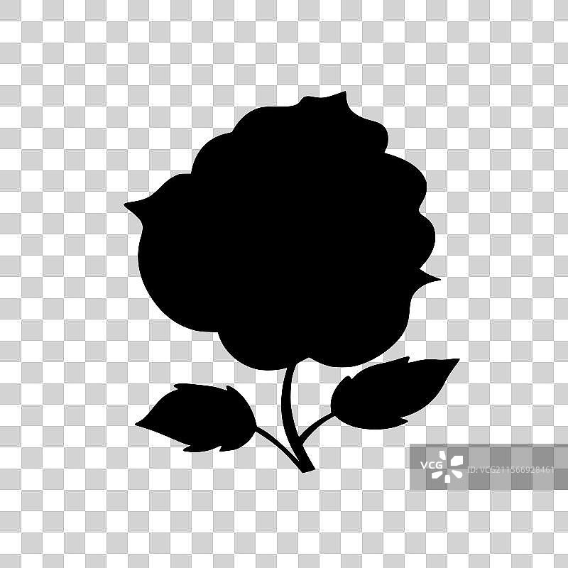 黑白花朵图片素材