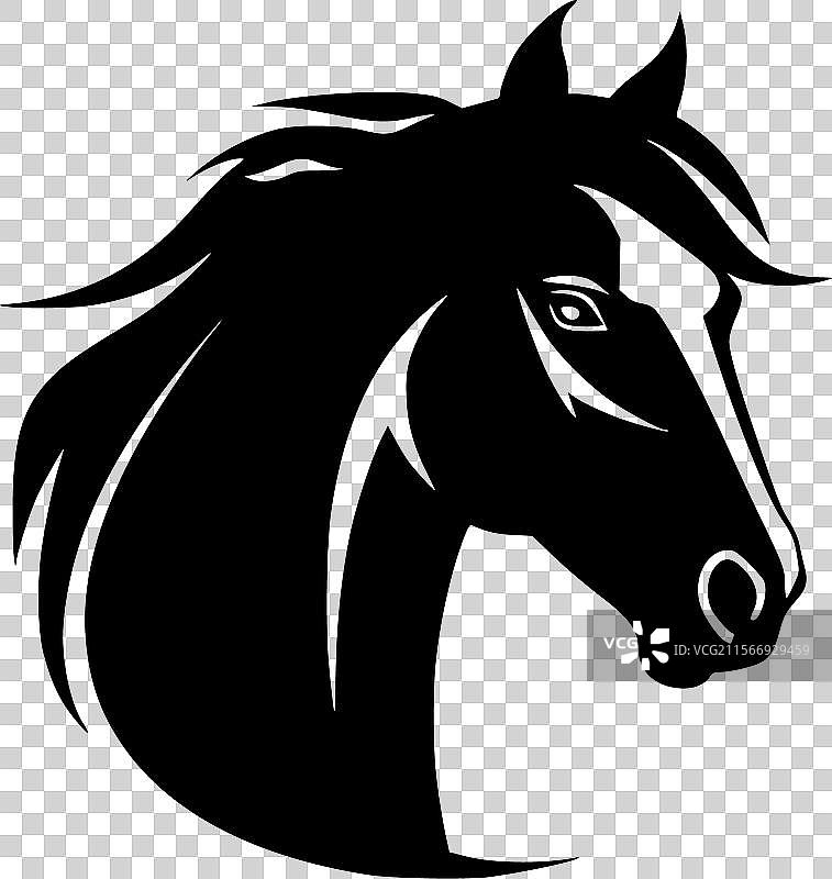 马 - 高质量标志 - 适合T恤使用图片素材