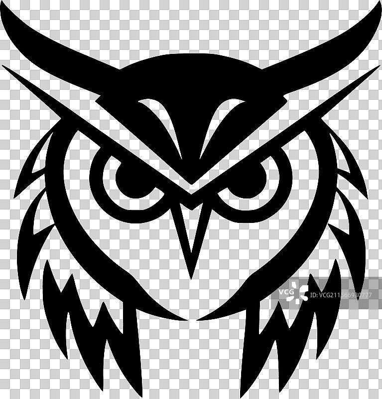 猫头鹰 - 黑白色图片素材