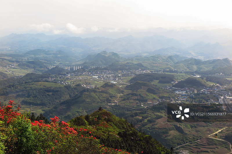 中国贵州黔东南州丹寨县龙泉山的杜鹃花，龙泉山蚩尤文化公园，丹寨龙泉山，杜鹃花海，丹寨县城，花海与高山图片素材