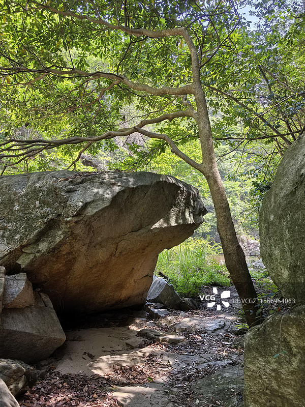 翘首问候路人的巨石图片素材