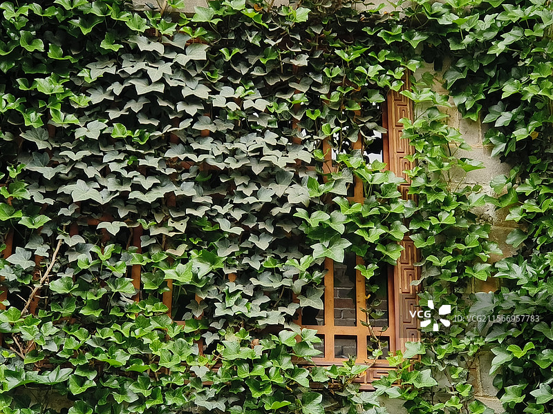 湖南岳阳·张谷英景区图片素材