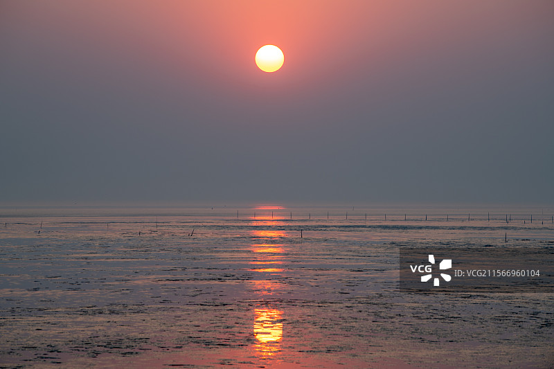 盐城滩涂的日出图片素材