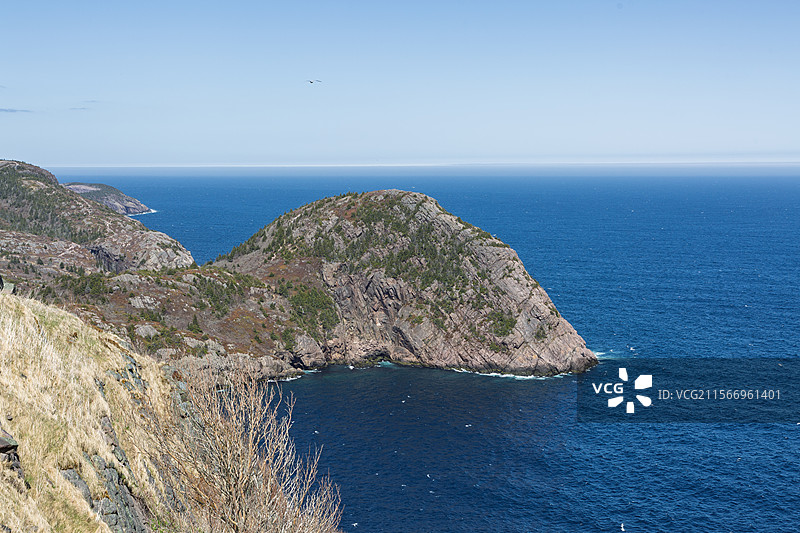 纽芬兰东海岸，圣约翰斯绿帽子（Cuckholds）湾，蓝天映衬下的海湾风景图片素材