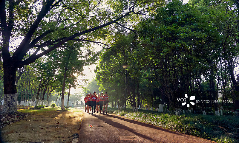 画面展现了几位穿着运动服的跑步者在清晨的公园内沿着弯曲的跑道前行，阳光透过树木洒在地面上，营造出一种图片素材