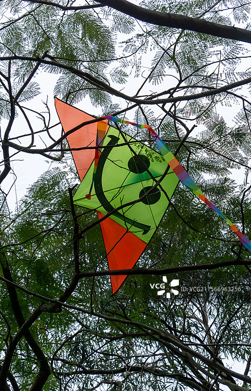 挂在树上的风筝的低角度视图图片素材
