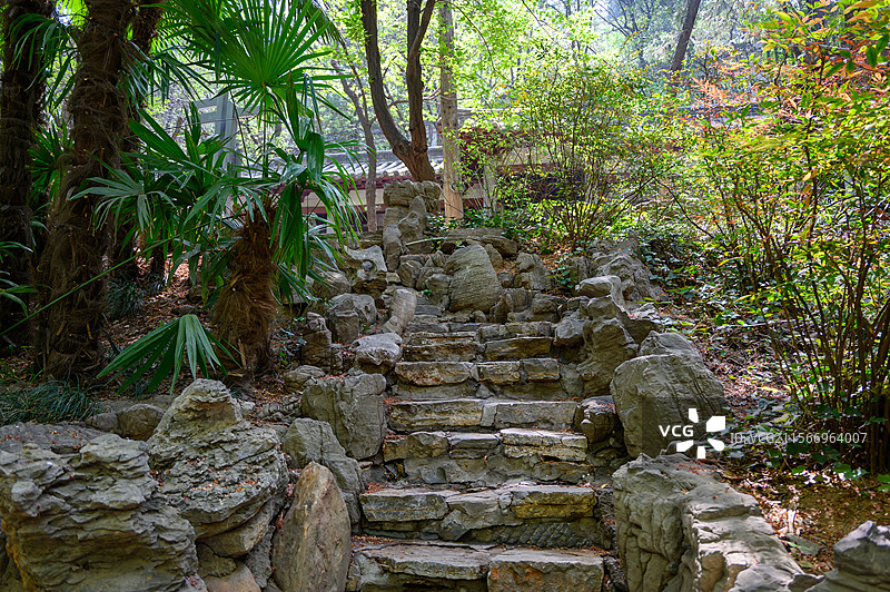 河南省洛阳市龙门石窟白园幽静山林园林风光图片素材