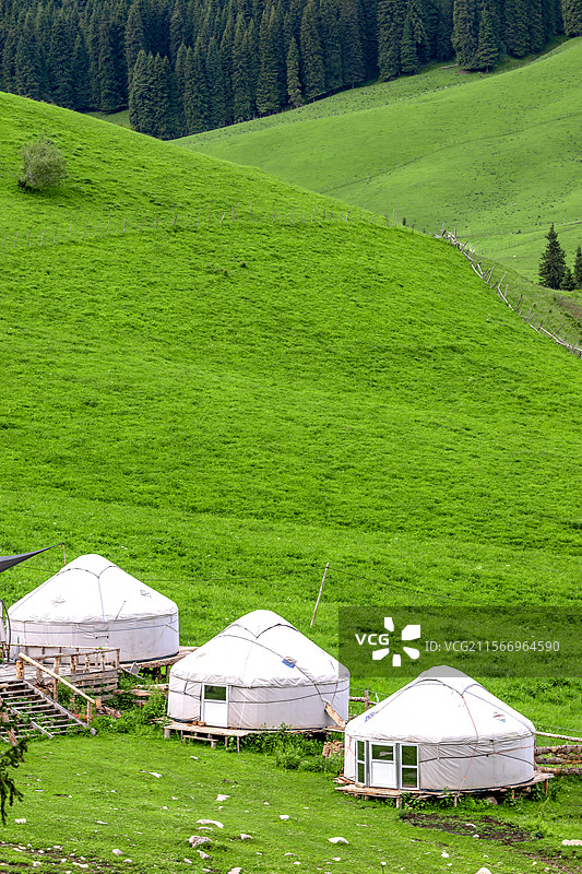 新疆伊犁哈萨克自治州夏季琼库什台山坡上的白色蒙古包图片素材
