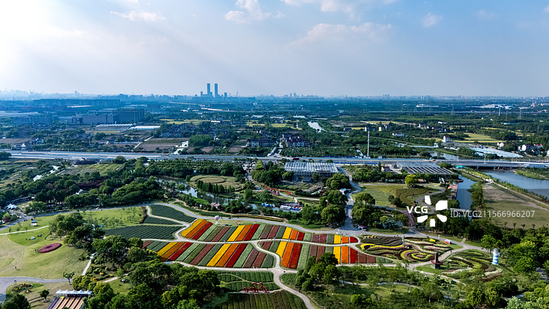 航拍周浦花海图片素材