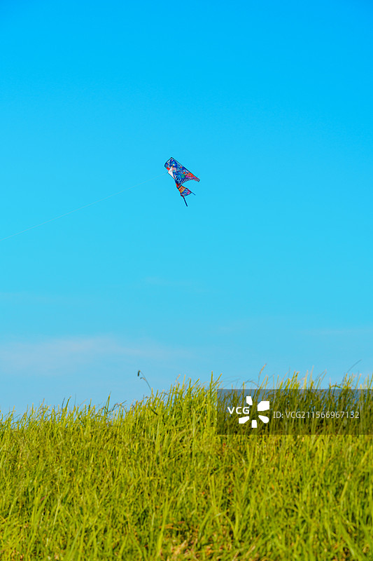 晴朗蓝天下飞翔的风筝  绿草地对着天空图片素材