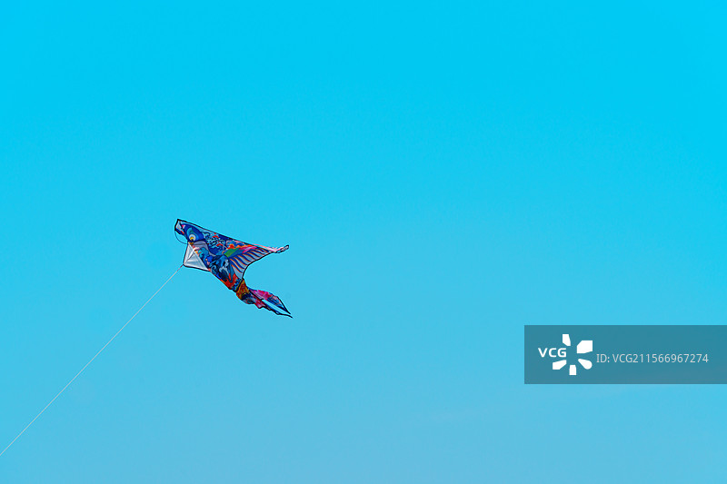 风筝在纯净蓝天下飞翔的低角度视图图片素材