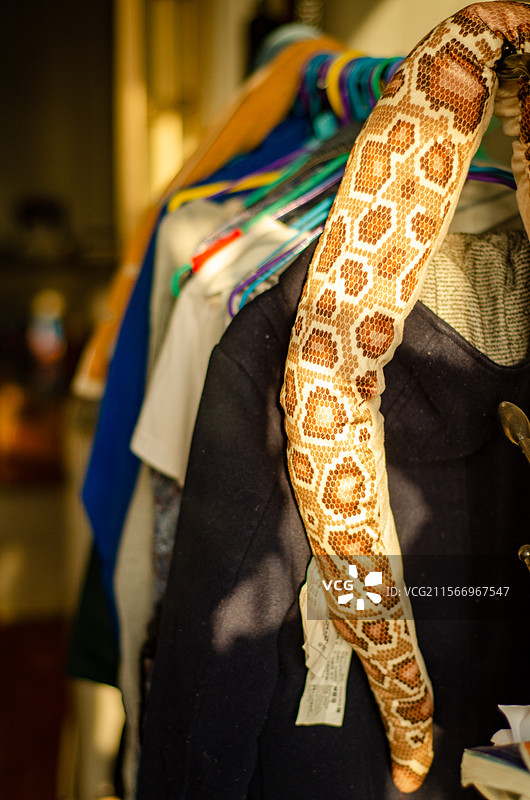 挂在衣物上的花纹蛇抱枕图片素材