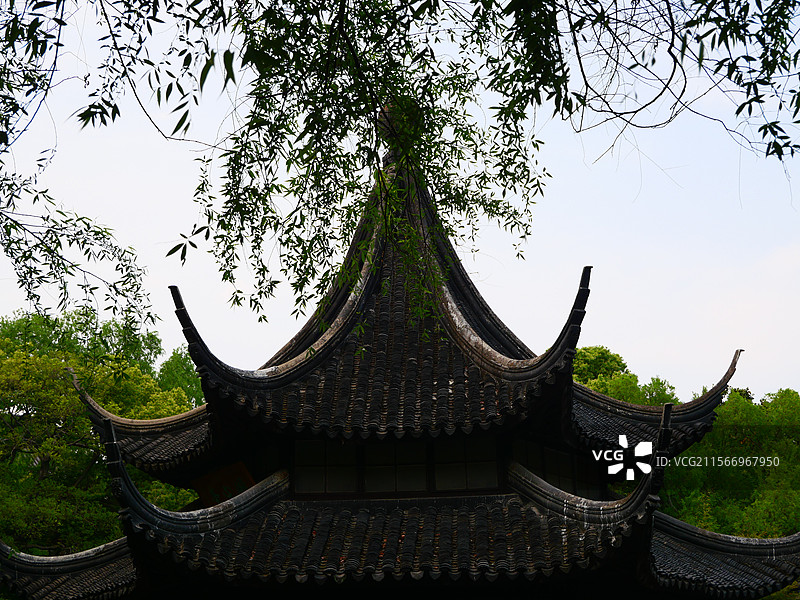 飞翼翘角图片素材