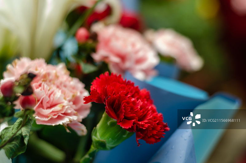 母亲节康乃馨花束图片素材