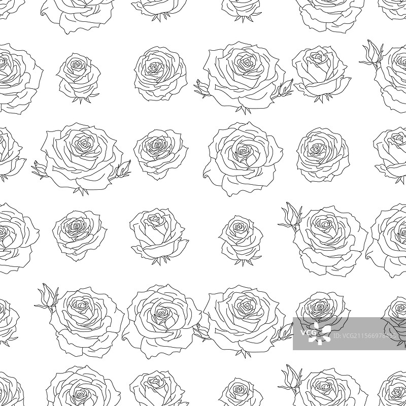 无缝黑白玫瑰花卉图案图片素材