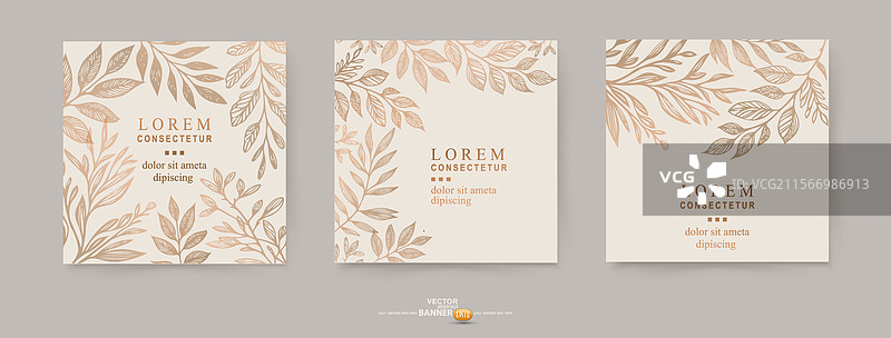 米色柔和色调的花卉背景图片素材