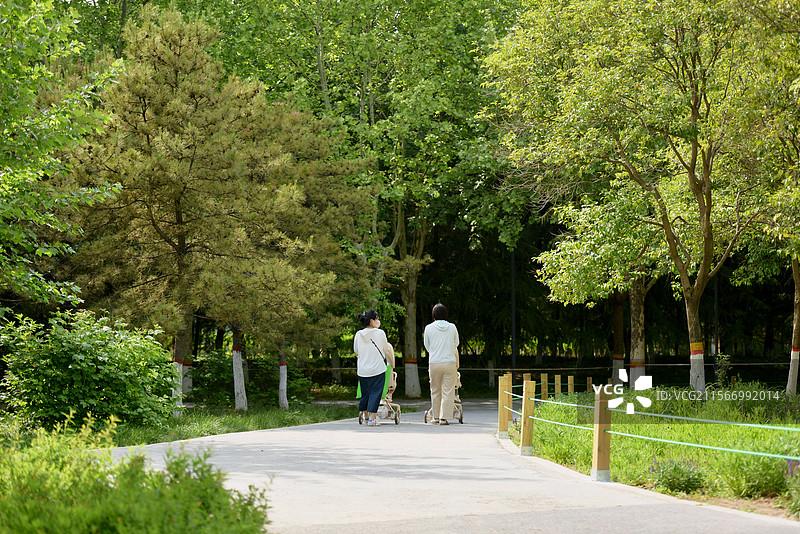 初夏时节·郑州西流湖公园图片素材
