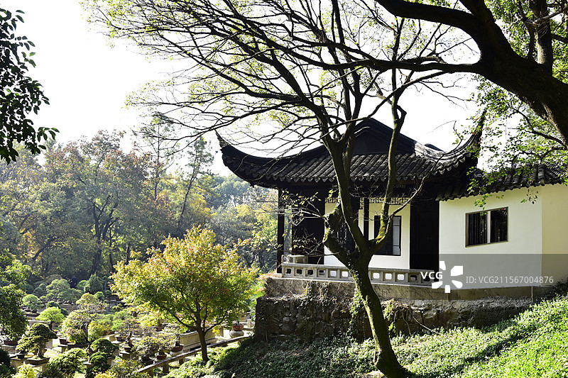 江苏省苏州虎丘景区园林古建筑万景山庄图片素材