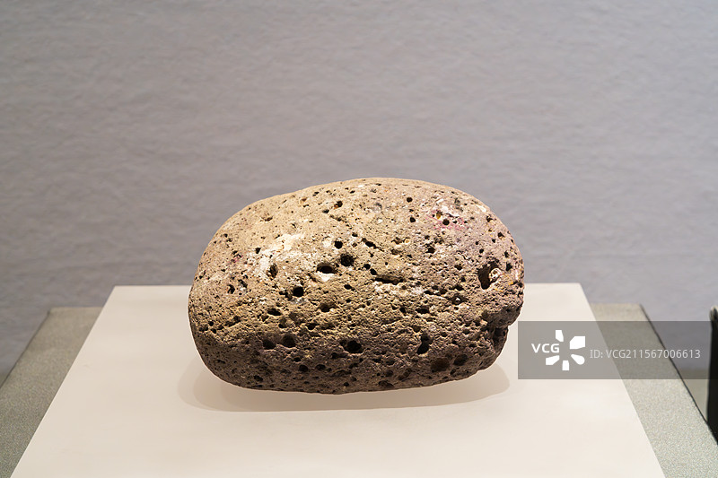 博物馆展示的多孔岩石图片素材