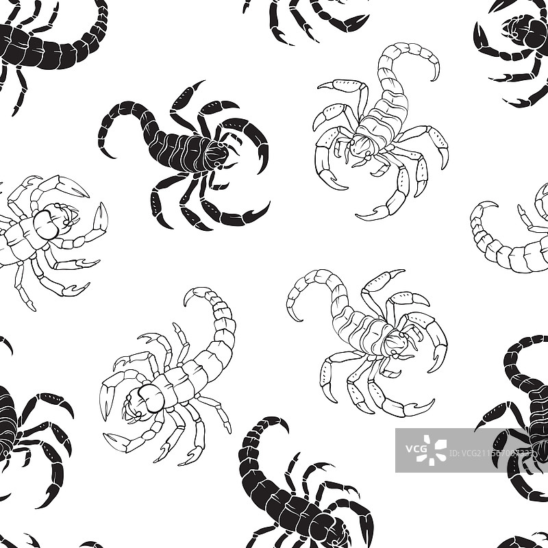 无缝图案，黑色线条艺术蝎子图片素材