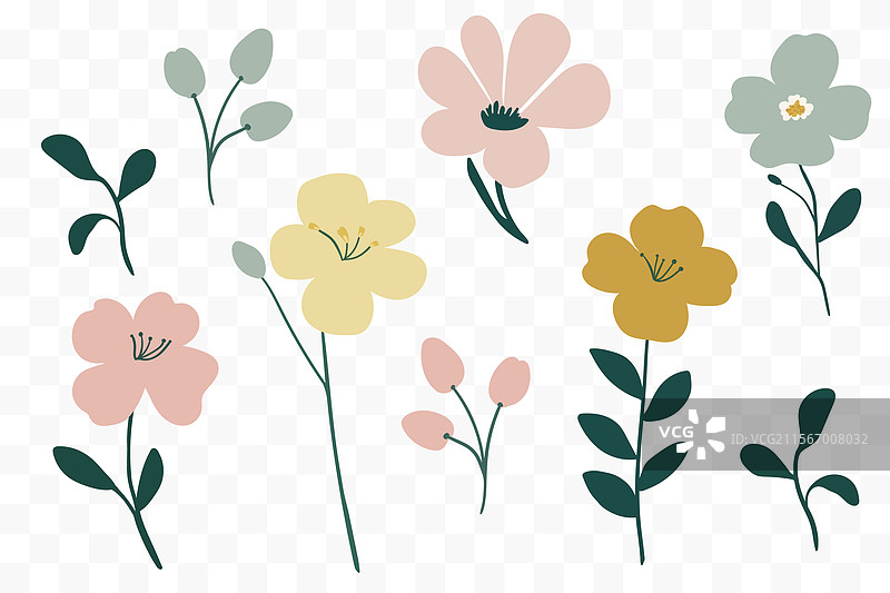 精致的极简风格花卉元素组合图片素材