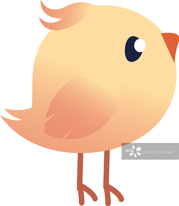 小小的小鸡图片素材