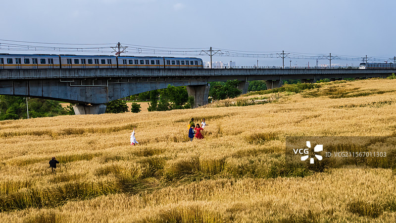 成都地铁2号站大面地铁站外金色麦浪图片素材