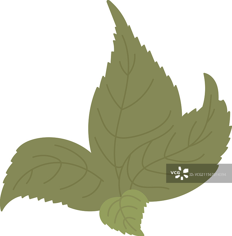 手绘花叶图片素材